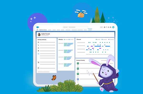 Salesforce Data Cloud 